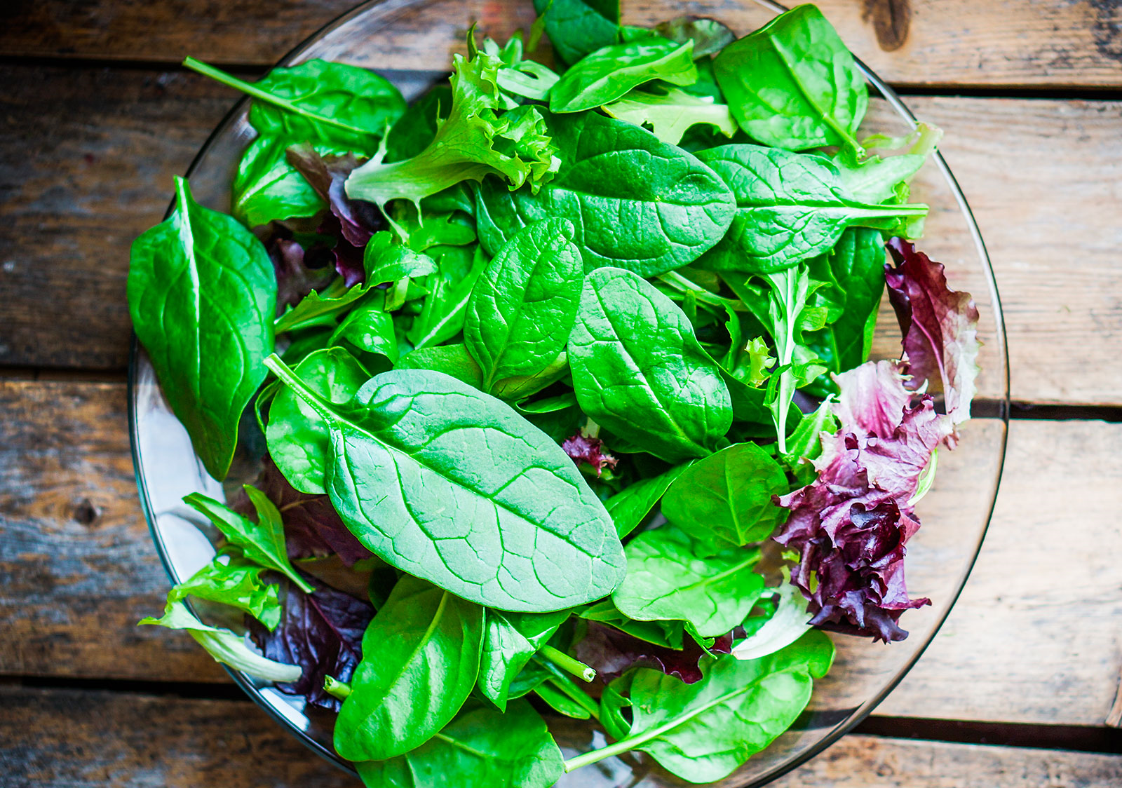 Salad leaves