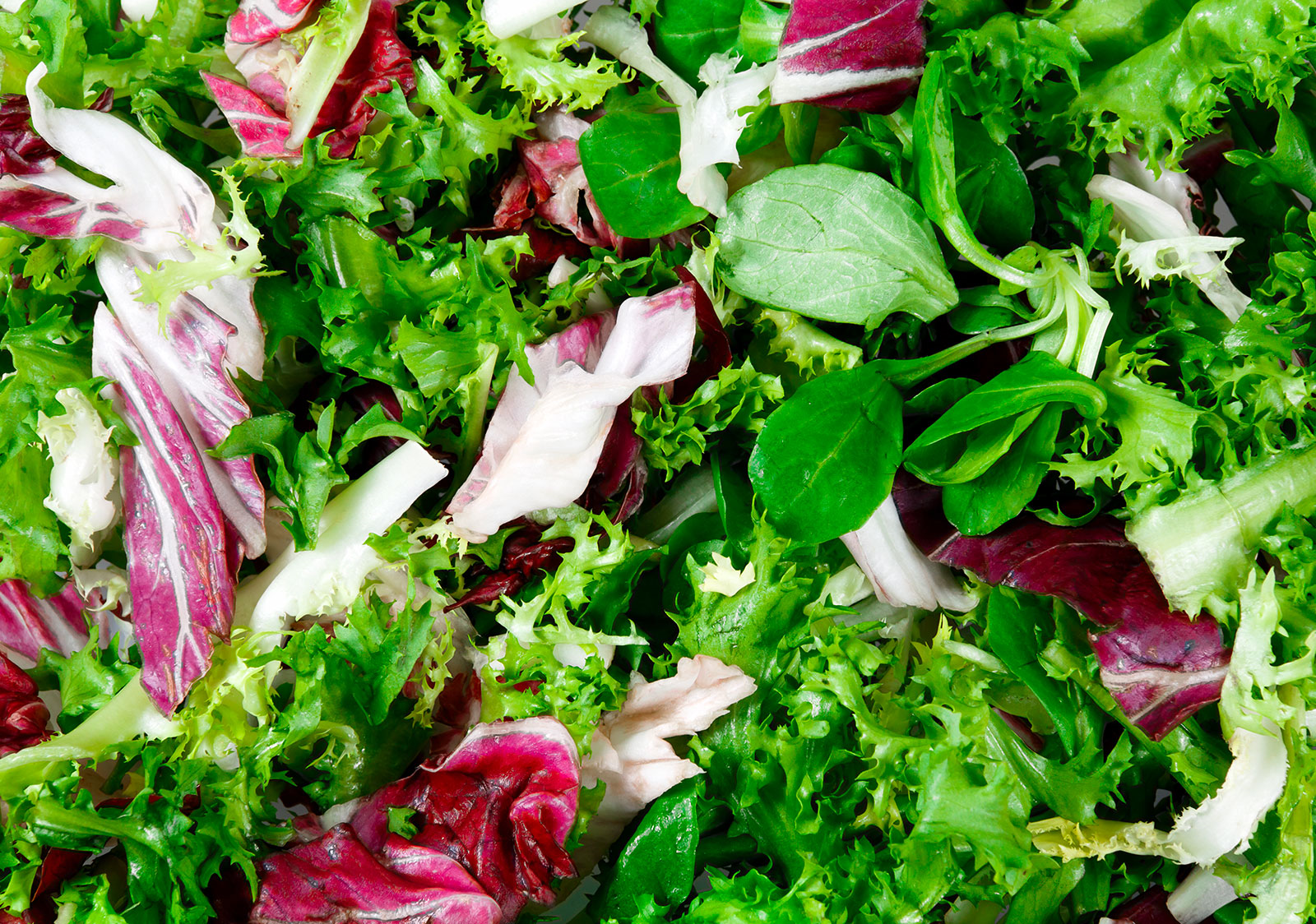 Salad leaves 2