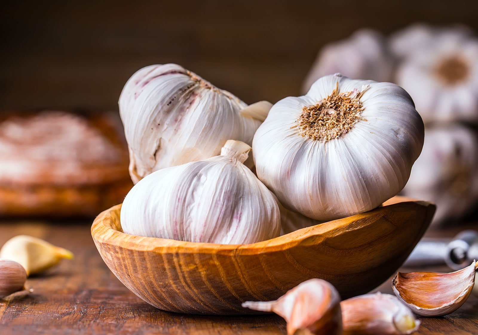 Garlic
