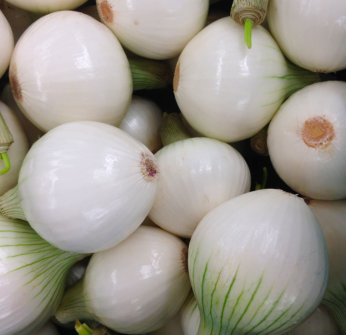 Peeled White Onions